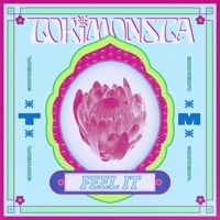 Thumbnail for the TOKiMONSTA - Feel It link, provided by host site