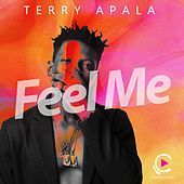 Thumbnail for the Terry Apala - Feel Me link, provided by host site