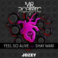 Thumbnail for the Mr. Robotic - Feel So Alive link, provided by host site