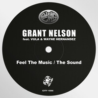 Thumbnail for the Grant Nelson - Feel the Music / The Sound link, provided by host site