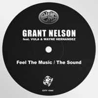 Thumbnail for the Grant Nelson - Feel the Music / The Sound link, provided by host site