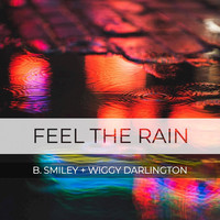 Thumbnail for the B. Smiley - Feel the Rain link, provided by host site