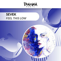 Thumbnail for the SEVEK - Feel This Low link, provided by host site