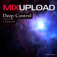 Thumbnail for the Deep Control - Feel To Life link, provided by host site
