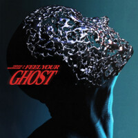 Thumbnail for the Tiësto - Feel Your Ghost link, provided by host site