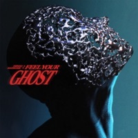 Thumbnail for the Tiësto - Feel Your Ghost link, provided by host site