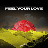 Thumbnail for the Bhaskar - Feel Your Love link, provided by host site