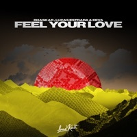 Thumbnail for the Bhaskar - Feel Your Love link, provided by host site