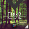 Thumbnail for the Flexb - Feelin Me link, provided by host site