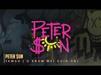 Thumbnail for the Peter $Un - Feelin Myself (YKWGO) link, provided by host site
