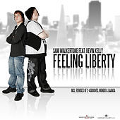 Thumbnail for the Sam Walkertone - Feeling Liberty link, provided by host site
