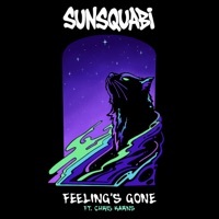 Thumbnail for the SunSquabi - Feeling's Gone link, provided by host site