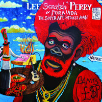 Thumbnail for the Lee Scratch Perry - Feeling so Dub link, provided by host site