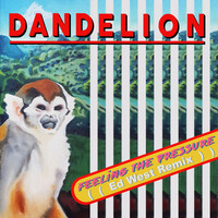 Thumbnail for the Dandelion - Feeling The Pressure (Ed West Remix) link, provided by host site