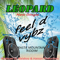 Thumbnail for the Leopard - Feeling the Vibe link, provided by host site