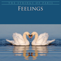 Thumbnail for the The Strings of Paris - Feelings link, provided by host site