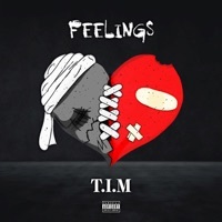 Thumbnail for the T.I.M. - Feelings link, provided by host site