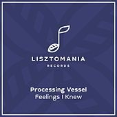 Thumbnail for the Processing Vessel - Feelings I Knew link, provided by host site