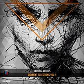 Thumbnail for the Flexb - Feelings (Original Mix) link, provided by host site