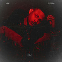 Thumbnail for the Nbdy - Feels link, provided by host site