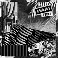 Thumbnail for the HAAi - FEELS link, provided by host site