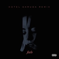 Thumbnail for the Kiiara - Feels (Hotel Garuda Remix) link, provided by host site