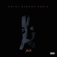 Thumbnail for the Kiiara - Feels (Hotel Garuda Remix) link, provided by host site