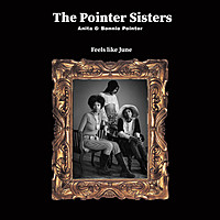 Thumbnail for the The Pointer Sisters - Feels like June link, provided by host site