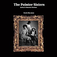 Thumbnail for the The Pointer Sisters - Feels like June link, provided by host site