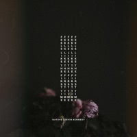 Thumbnail for the NATIIVE - Feels Like the First Time - Nite Version link, provided by host site