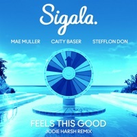 Thumbnail for the Sigala - Feels This Good [Jodie Harsh Remix] link, provided by host site