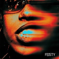 Thumbnail for the Vindata - Feisty link, provided by host site