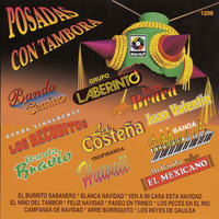 Thumbnail for the Banda Sinaloense Los Recoditos - Feliz Navidad link, provided by host site