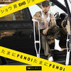 Thumbnail for the Sho - たまにFENDI link, provided by host site