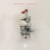 Image of Andrea Andrei linking to their artist page due to link from them being at the top of the main table on this page