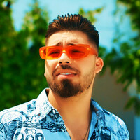Thumbnail for the Luis Gabriel - Fericit link, provided by host site