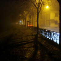 Thumbnail for the Rollo - Fermo link, provided by host site