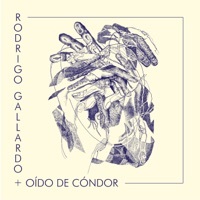 Thumbnail for the Rodrigo Gallardo - Festejo del Cóndor link, provided by host site