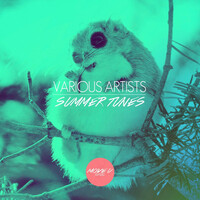 Image of Soukervalii linking to their artist page due to link from them being at the top of the main table on this page