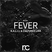 Thumbnail for the Kalil - Fever link, provided by host site