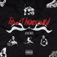 Thumbnail for the Cuckoo - Few Thousand link, provided by host site