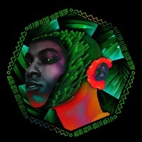 Image of Valer den Bit linking to their artist page due to link from them being at the top of the main table on this page