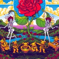Thumbnail for the Dead & Company - Fiddler's Green Amphitheatre, Englewood, CO link, provided by host site