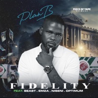 Thumbnail for the Plan B - Fidelity link, provided by host site