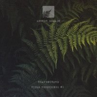 Thumbnail for the Heavenchord - Field Recordings 01 link, provided by host site