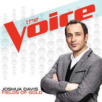 Thumbnail for the Joshua Davis - Fields Of Gold (The Voice Performance) link, provided by host site