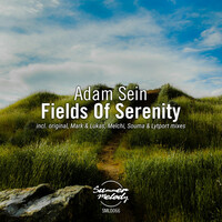 Thumbnail for the Adam Sein - Fields of Serenity link, provided by host site