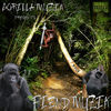 Thumbnail for the B-Dub - Fiend Muzik link, provided by host site