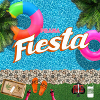 Thumbnail for the Prana - Fiesta link, provided by host site