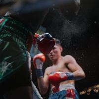 Thumbnail for the Jay Smith - Fight link, provided by host site